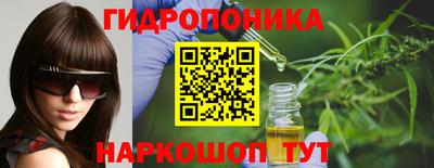 ECSTASY Новозыбков