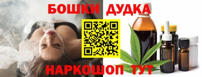 ECSTASY Новозыбков