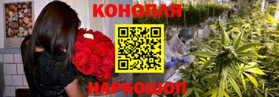 ECSTASY Новозыбков