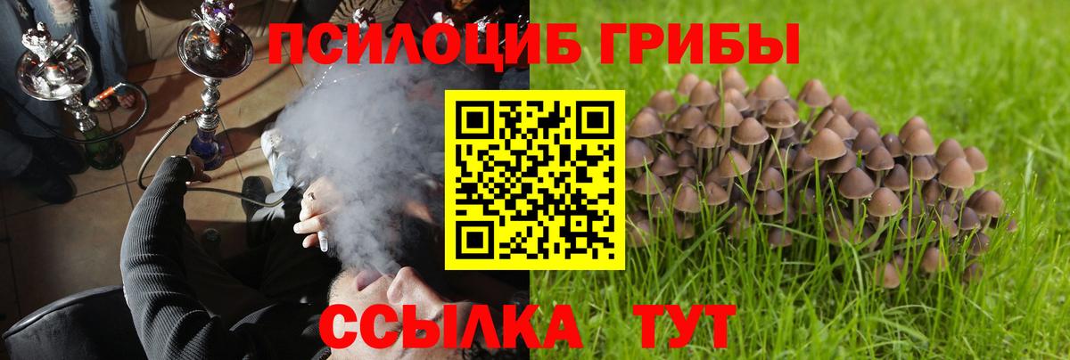 Псилоцибиновые грибы ЛСД Азнакаево