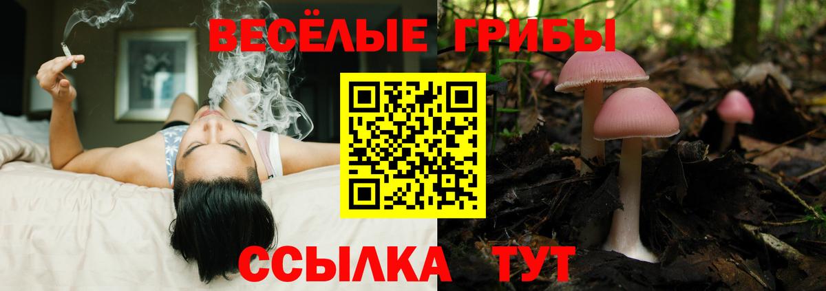 Галлюциногенные грибы Cubensis  Галлюциногенные грибы Cubensis  Вход с VPN  наркошоп  Азнакаево 